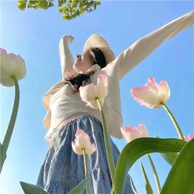 铁金刚勇破神秘岛 在线观看